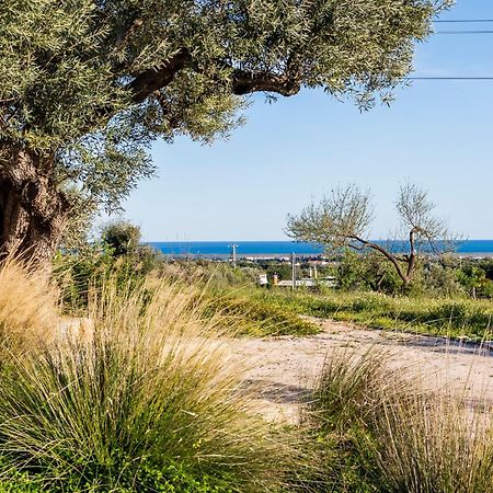 Quinta Da Baleeira Villa Tavira Dış mekan fotoğraf