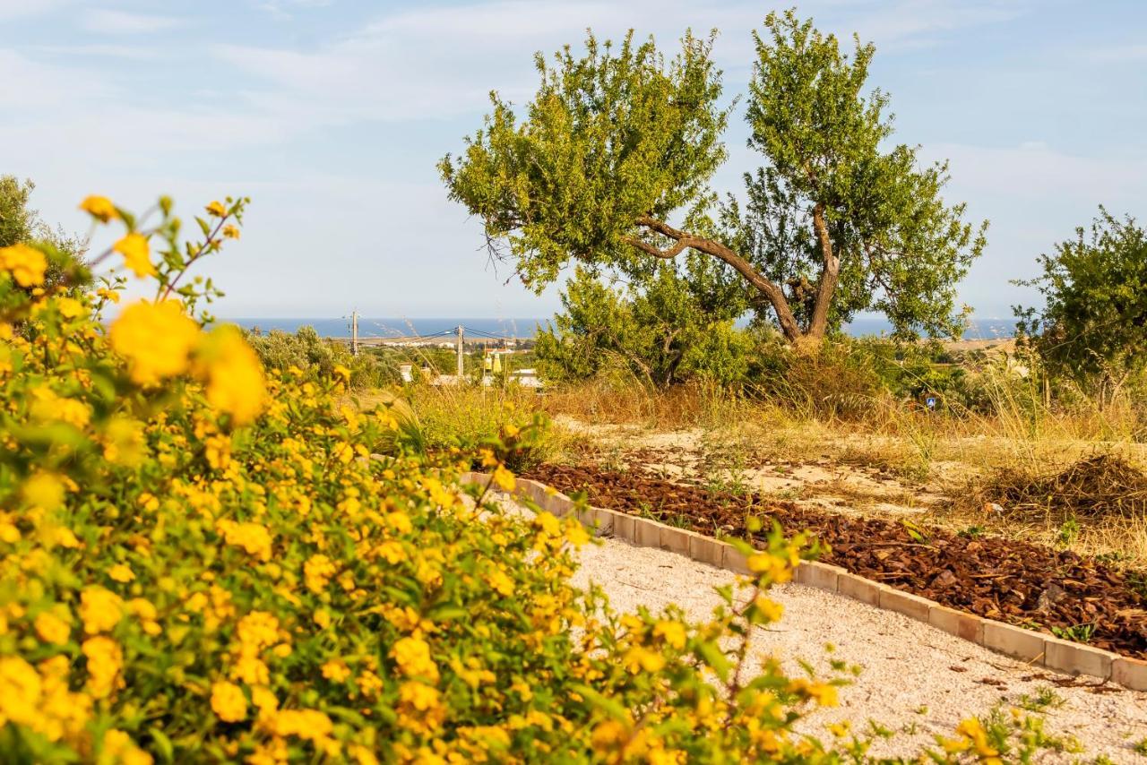 Quinta Da Baleeira Villa Tavira Dış mekan fotoğraf