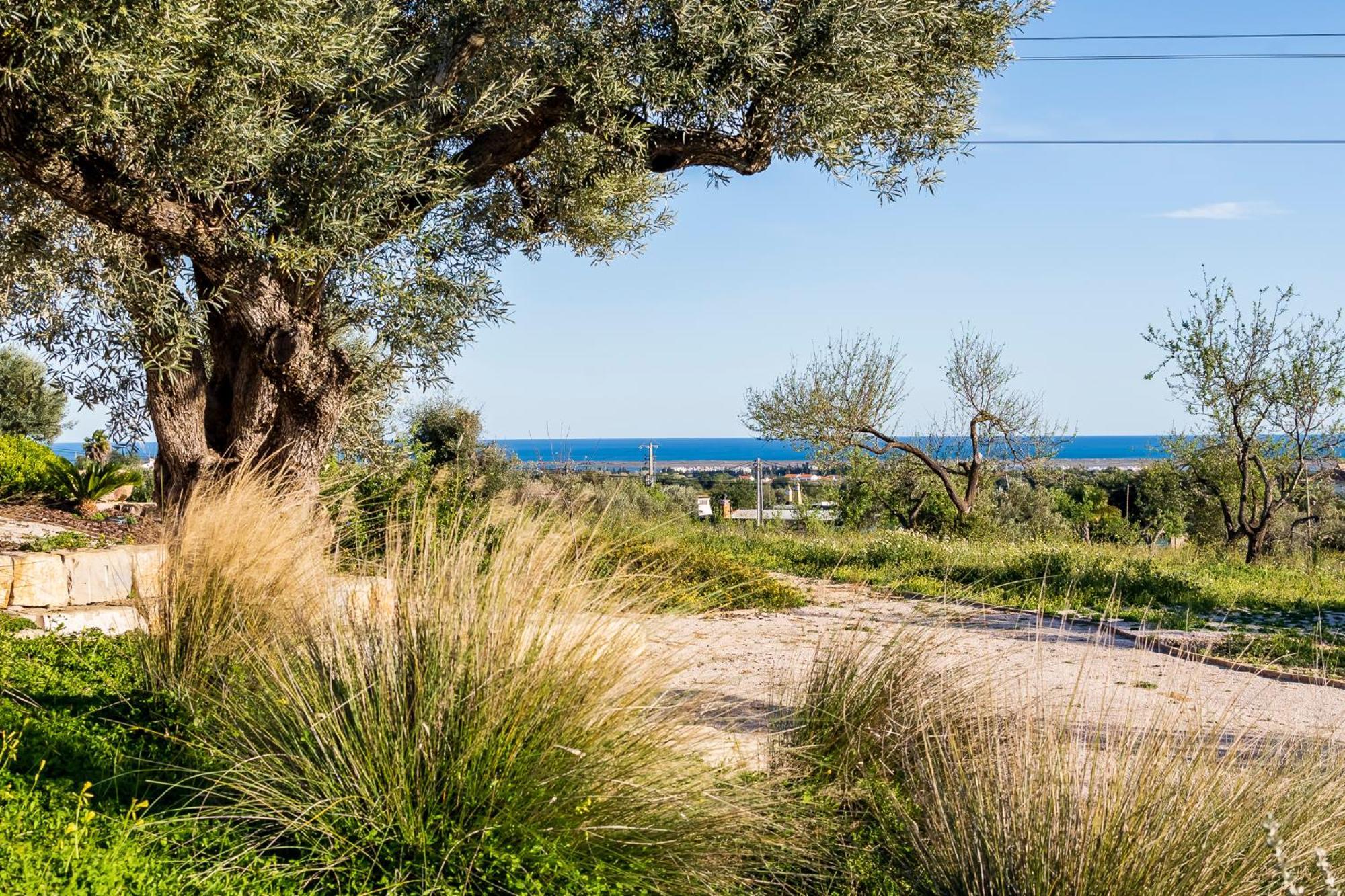 Quinta Da Baleeira Villa Tavira Dış mekan fotoğraf